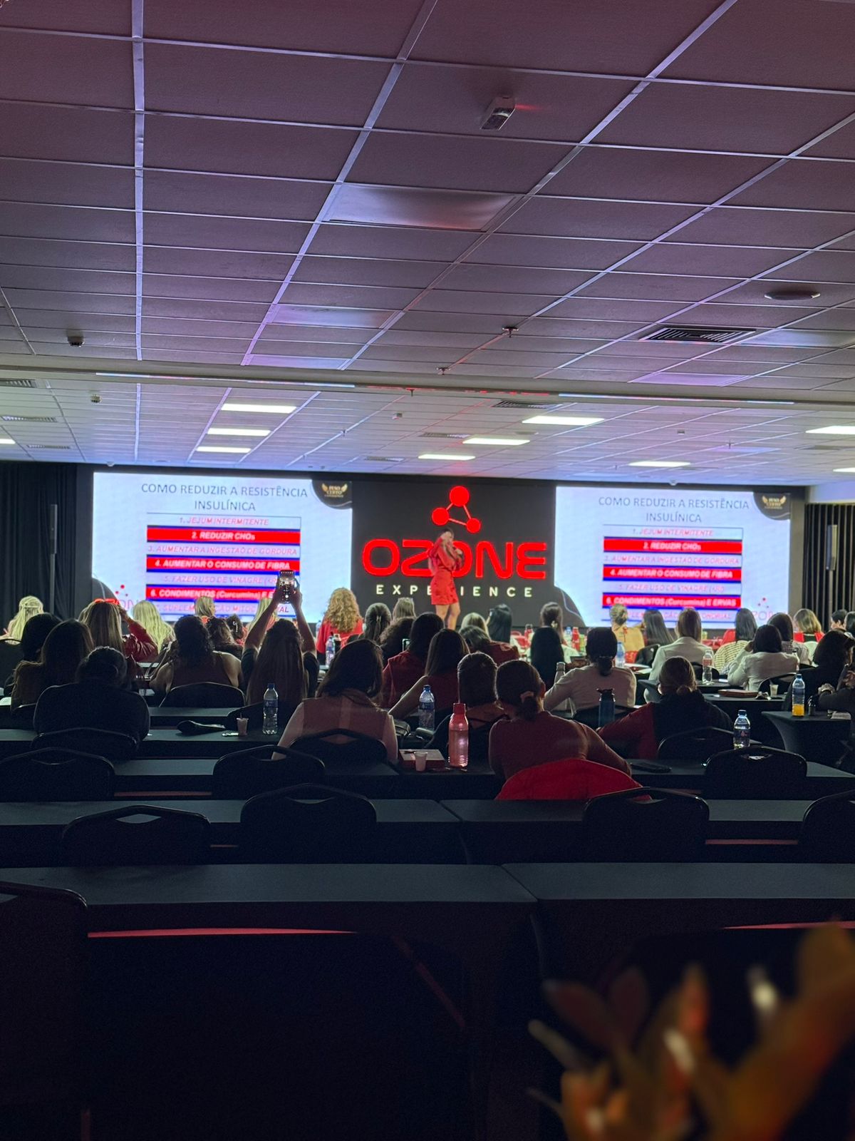 Plateia durante a palestra